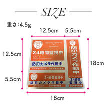 防犯ステッカー ドーム型 セキュリティーステッカー 防犯対策 防犯シール 防水_画像5