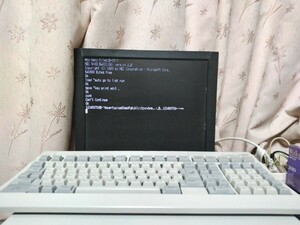 PC-9800SERIESキーボード クリーニング・コンデンサ交換・動作確認済.