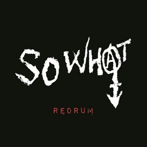 ＊新品EP SO WHAT/REDRUM 2023年EP化 静岡ハードコアパンク 8000 SWINDLE BITCH S.V.S RYDEEN SYSTEMATIC DEATH ROCKY＆THE SWEDEN