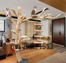  cat. action tree cat tower natural wood cat. Jump cat mountain climbing tower cat. action tree platform wooden cat. playing region height 1.5m