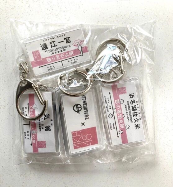 【未開封未使用】 天竜浜名湖鉄道 AKB48 コラボ メンバー命名:駅名看板 キーホルダー 5種類セット