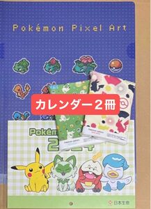 ポケモン　ピカチュウ　2024カレンダー　クリアファイル　ポケットティッシュ　2セット　令和6年　壁掛けカレンダー