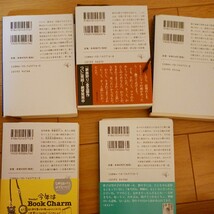 幻世（まぼろよ）の祈り （新潮文庫　家族狩り　第１部～第5部） 天童荒太／著　贈られた手　遭難者の夢　まだ遠い光　巡礼者たち_画像2