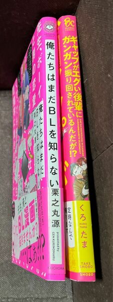 bl漫画 まとめ セット 2冊