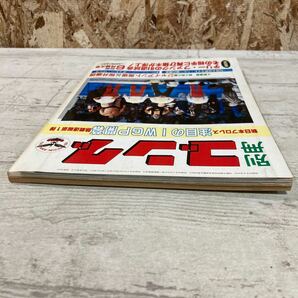 レア 別冊ゴング 1983年 6月号 新日本プロレス 注目のIWGP開幕 熱戦速報第1弾 VOL.15 NO.6 プロレス 現状品 クリックポスト送料185円の画像4