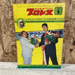 レア プロレス ベースボール マガジン 1973年 8月号 第19巻 第9号 レイス、ジュニアのリ マッチ退け防衛 現状品 クリックポスト送料185円