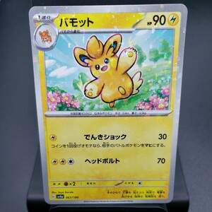 【ポケモンカード】パモット [ミラー] （SV4a_067/190）シャイニートレジャーex トレーディングカード ポケカ PCG PTCG ※複数個あり