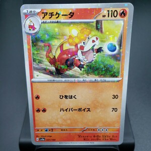 【ポケモンカード】アチゲータ [ミラー] （SV4a_031/190）シャイニートレジャーex トレーディングカード ポケカ PCG PTCG 