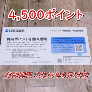 《コード通知》ソースネクスト 株主優待 4500ポイント分◆24/6/30迄