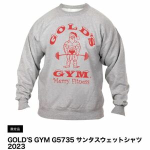 * Gold Jim GOLD'SGYM ограничение 2023 солнечный ta тренировочный M серый Parker футболка футболка брюки новый товар включая доставку 