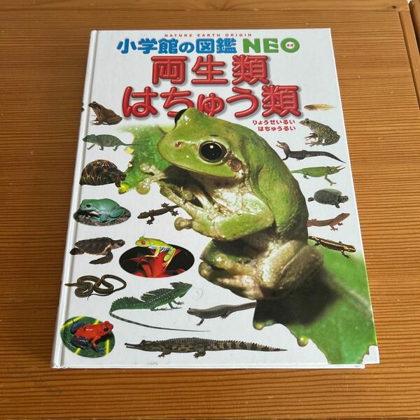 小学館の図鑑NEO 両生類はちゅう類