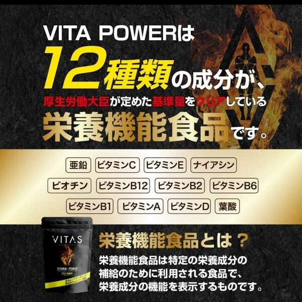 VITAS VITA POWER ビタパワー マルチビタミン + マカ 亜鉛 バイタス 筋トレ サプリ 