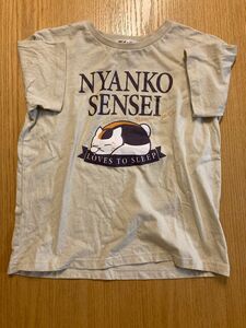 しまむら　夏目友人帳　ニャンコ先生　半袖Tシャツ　サイズ140　