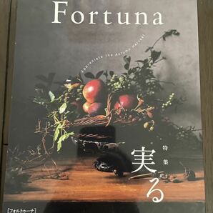 高級マガジン Fortumaフォルトゥーナ(三菱UFJモルガン・スタンレー証券発行)5冊まとめての画像7