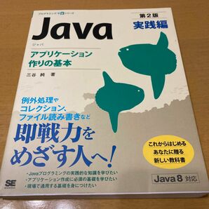 Java　実践編 （プログラミング学習シリーズ） （第２版） 三谷純／著