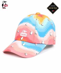 CHUMS Spring Dale Gore-Tex Bush Pilot Cap チャムス スプリングデール ゴアテックス ブッシュ パイロット キャップ CH05-1311／Free Size