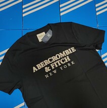 新品　アバクロンビー＆フィッチ　Tシャツ　綿　Tee　半袖Tシャツ　A&F　M　 アバクロンビー_画像6