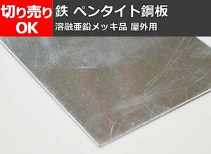 鉄 ペンタイト鋼板(屋外用) 亜鉛メッキ処理材 切り売り 小口 加工販売 F10