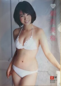  morning length beautiful Sakura (B5) clear file including in a package possible 