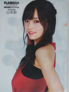  Yamamoto Sayaka Oota dream . Yamamoto Sayaka .(B5) clear file including in a package possible 