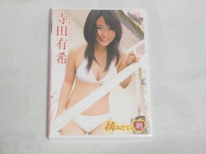 未開封 DVD 寺田有希 摘みたての朝 セル版