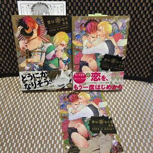 熊猫／愛は金なり1.2巻［2巻 コミコミ4pリーフレット付き］(393)