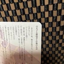 【特典のみ】ループ7回目の悪役令嬢は、元敵国で自由気ままな花嫁生活を満喫する 3巻 アニメイト 特典 SS ビジュアルボード（393）_画像2