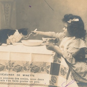 猫と子供(7)F81◆少女 少年 女性 ねこ ネコ アンティークポストカード フランス ドイツ ベルギー イタリア イギリス ビンテージ 外国絵葉書の画像1