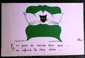 猫(18) W41◆アンティークポストカード フランス ドイツ ベルギー イタリア イギリス ネコ ねこ 子猫 外国絵葉書 ビンテージ
