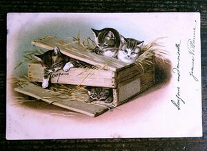 猫(17) W41◆Helena Maguire アンティークポストカード フランス ドイツ ベルギー イタリア イギリス ネコ ねこ 子猫 外国絵葉書 