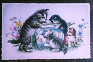 猫(10) W41◆アンティークポストカード フランス ドイツ ベルギー イタリア イギリス ネコ ねこ 子猫 外国絵葉書 ビンテージ