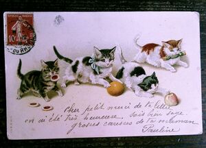 猫(4) W41◆Helena Maguire アンティークポストカード フランス ドイツ ベルギー イタリア イギリス ネコ ねこ 子猫 外国絵葉書 ビンテージ