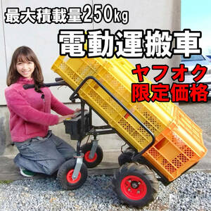 【ヤフオク限定価格】パワーカンガルー 最大積載量250kg 電動 縦型 運搬車 4輪 荷台 ガス ボンベ 【送料】関東・関西5,000円 九州7,000円 