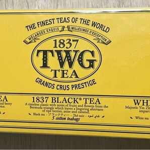 TWG 紅茶 ムーン&スカイ ティーセレクション ティーバッグ15袋