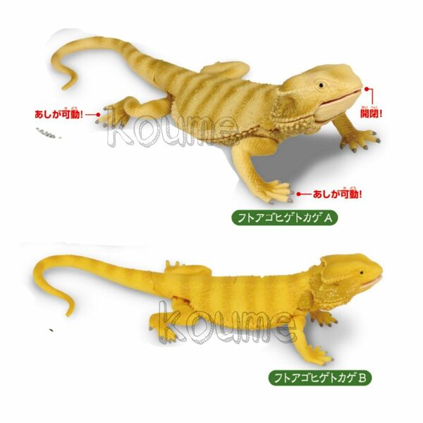 あそべる生物フィギュアシリーズ トカゲキングダムII トカゲキングダム2 ガチャ フトアゴヒゲトカゲA B フィギュア