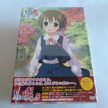 A040 咲－Saki 1/2/3/4/5 DVD スペシャルハーフボックス 初回限定版_画像1