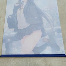 厶305 珈琲貴族 桜道 B2タペストリー 軸中心派 アニメ タペストリー_画像6