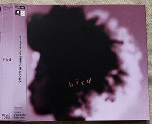 CD bird プロモ Promo 大沢伸一 AICT-1083 バード