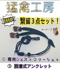 繋留3点セット　脱着式 アンクレット　革ジェス　リーシュ 猛禽類　ふくろう