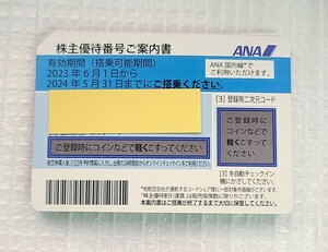 番号通知 発送なし ANA株主優待券2枚 有効期間 2023年6月1日から2024年5月31日まで 