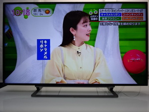 No553★東芝 49型 4K LEDフル/USB/外付けHDD/YouTube対応/テレビ/2016年製★49G20X