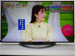 No555☆SHARP 50型 4K LED/USB/WIFI/YouTube/テレビ/2017年製★LC-50U45