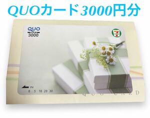 【送料無料】新品未使用 QUOカード 3000円分 セブンイレブン 贈り物 プレゼント 寄贈 買い物 ショッピング