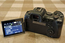 Canon EOS R6 ボディ　実用品_画像2