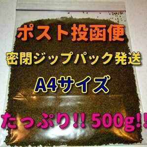 新販売! 大粒 餌 500g!! たっぷりお徳用 高栄養価フード プロ仕様! ショップ ブリーダー 熱帯魚 観賞魚 プレコ ディスカス シクリッド飼料4の画像6