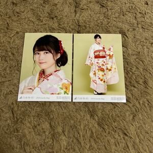 乃木坂46 生田絵梨花 生写真 2018.Lucky Bag セミコンプ 2枚 セット ヨリ ヒキ