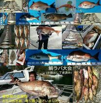 【鯛ラバ】魚眼ケイムラ＋オーロラver. タイラバ3本セット　様々な海域で多数の釣果報告を頂いております！_画像4