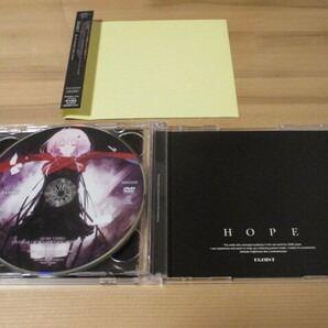 ギルティクラウン OP「The Everlasting Guilty Crown」EGOIST 初回生産限定盤CD+DVD 帯有り 即決の画像5