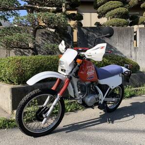 乗車して帰れます ホンダ XLR80 1987年式の古いホンダでございますの画像10