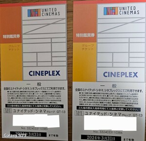 ユナイテッド・シネマ、シネプレックス特別鑑賞券2枚セット 送料無料（普通郵便） 